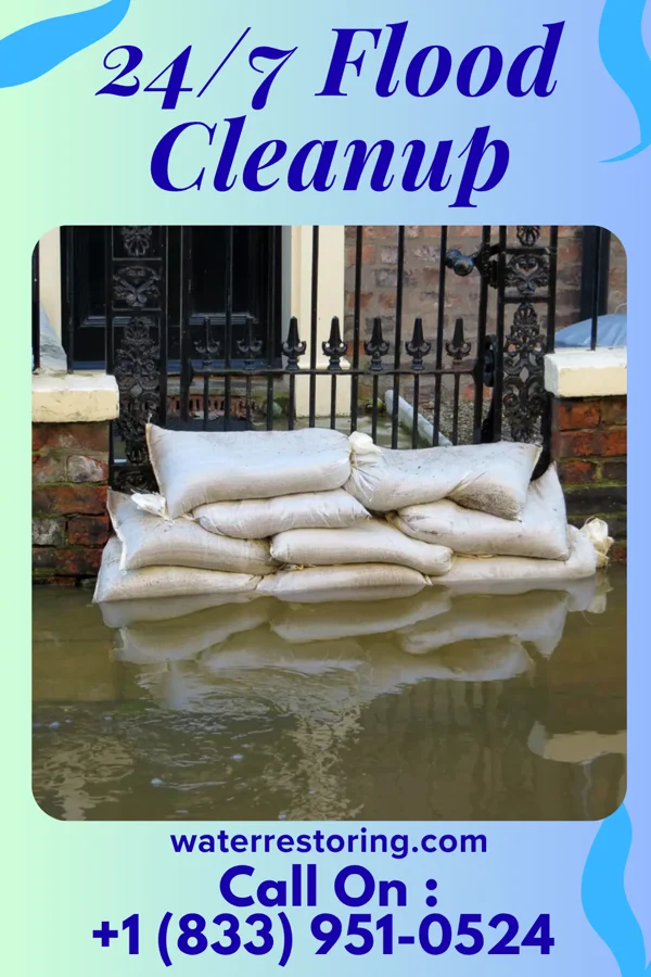 24/7 Flood Cleanup in Mulliken, MI
