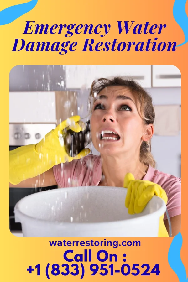 Emergency Water Damage Restoration in Mulliken, MI