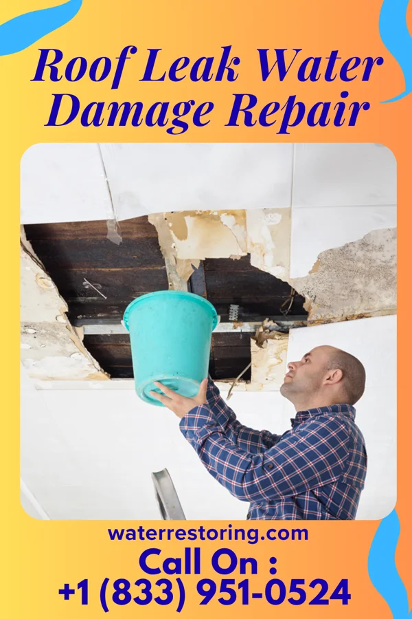 Roof Leak Water Damage Repair in Mulliken, MI